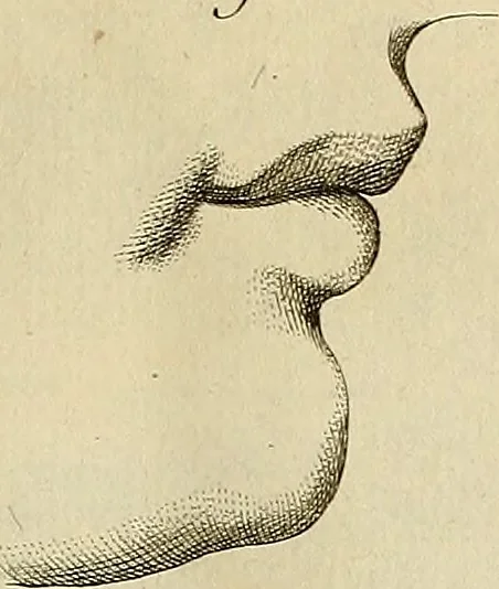 An illustration from Beaux-arts, 1788, leaf 40