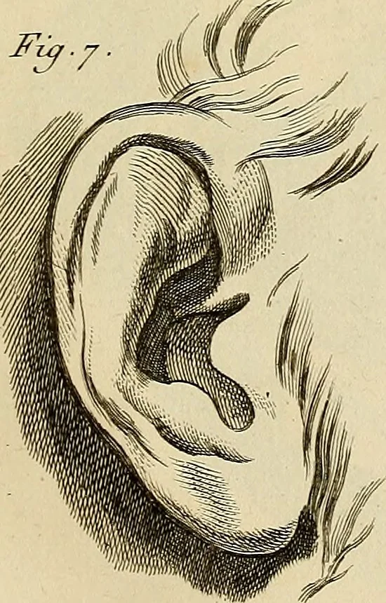 An illustration from Beaux-arts, 1788, leaf 40