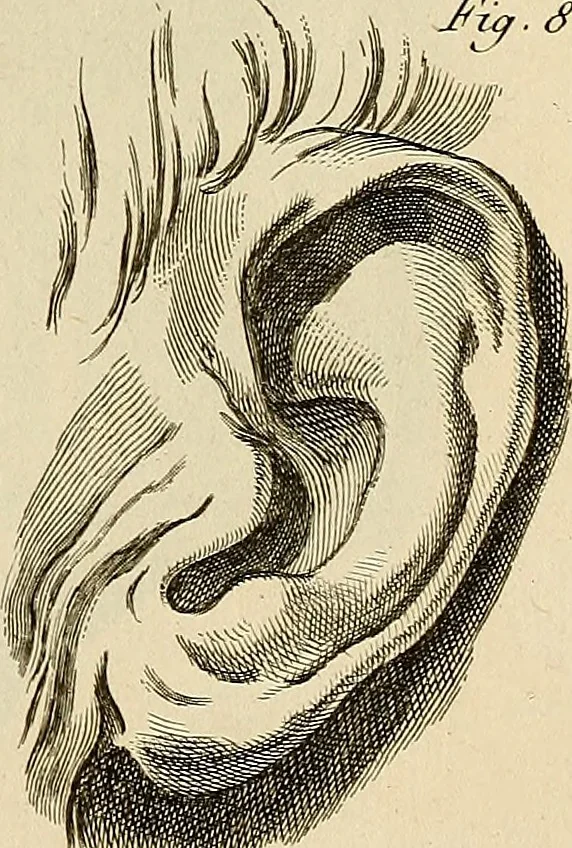 An illustration from Beaux-arts, 1788, leaf 40