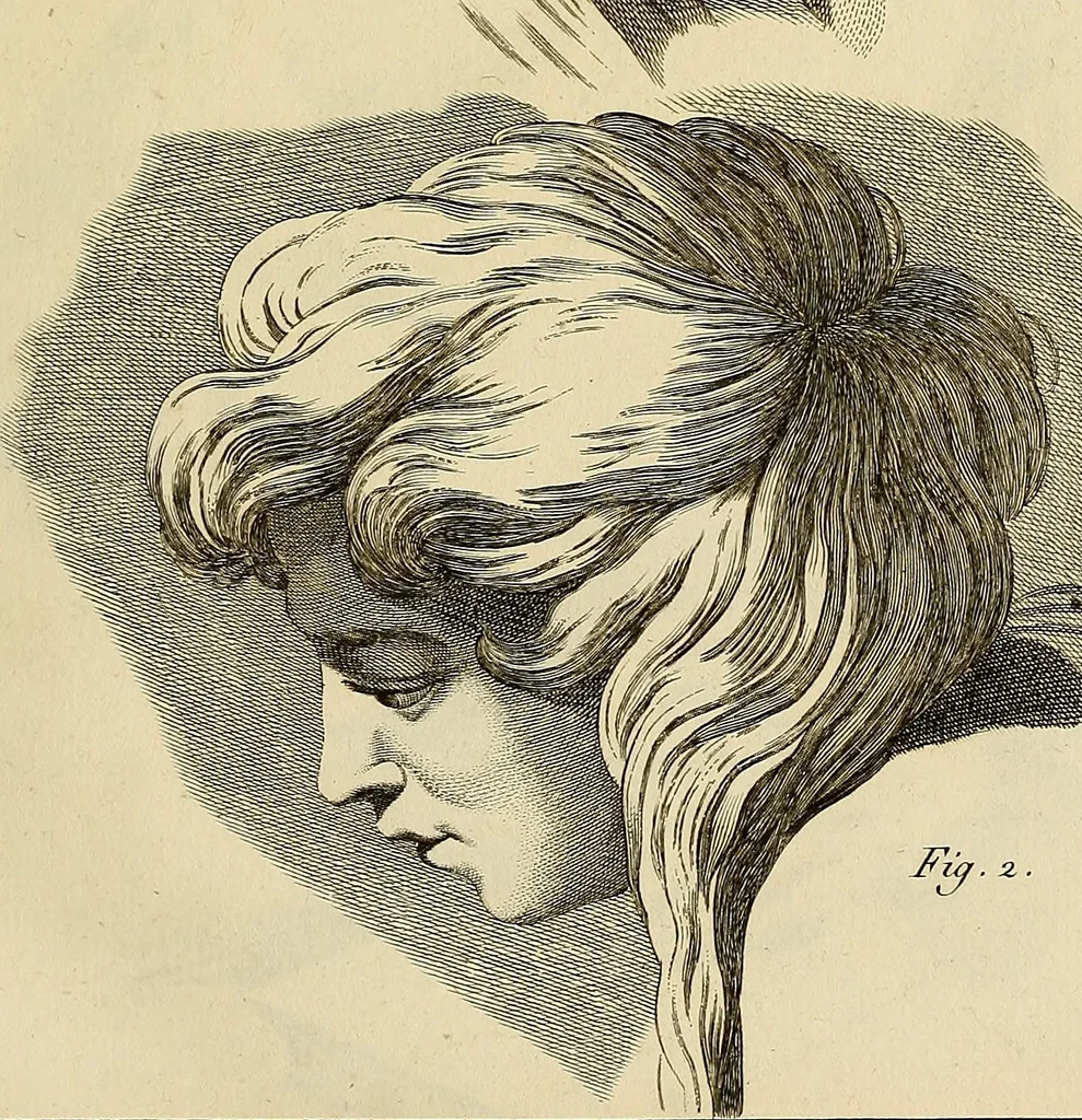 An illustration from Beaux-arts, 1788, leaf 42