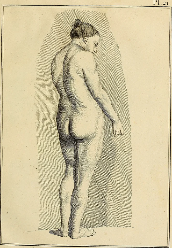 An illustration from Beaux-arts, 1788, leaf 62