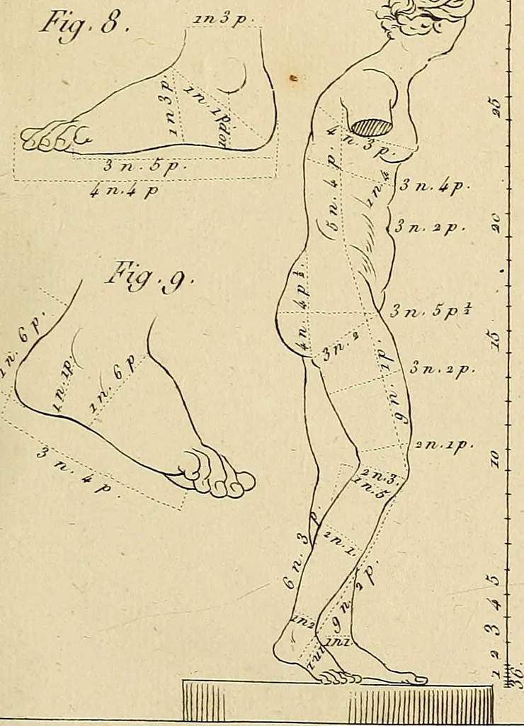 An illustration from Beaux-arts, 1788, leaf 94