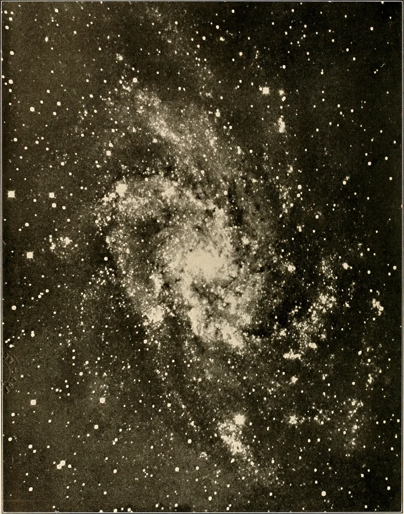 An illustration from A beginner's star-book; an easy guide to the stars and to the astronomical uses of the opera-glass, the field-glass and the telescope, 1912, leaf 49