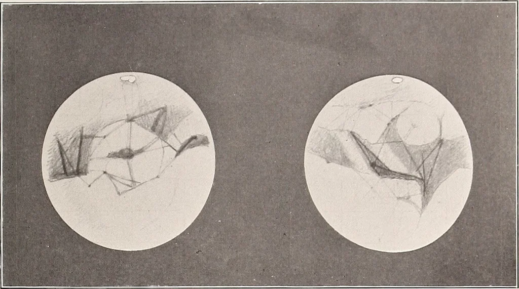 An illustration from A beginner's star-book; an easy guide to the stars and to the astronomical uses of the opera-glass, the field-glass and the telescope, 1912, leaf 102