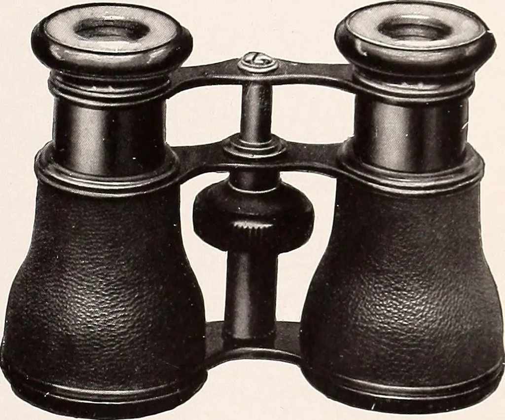 An illustration from A beginner's star-book; an easy guide to the stars and to the astronomical uses of the opera-glass, the field-glass and the telescope, 1912, leaf 112