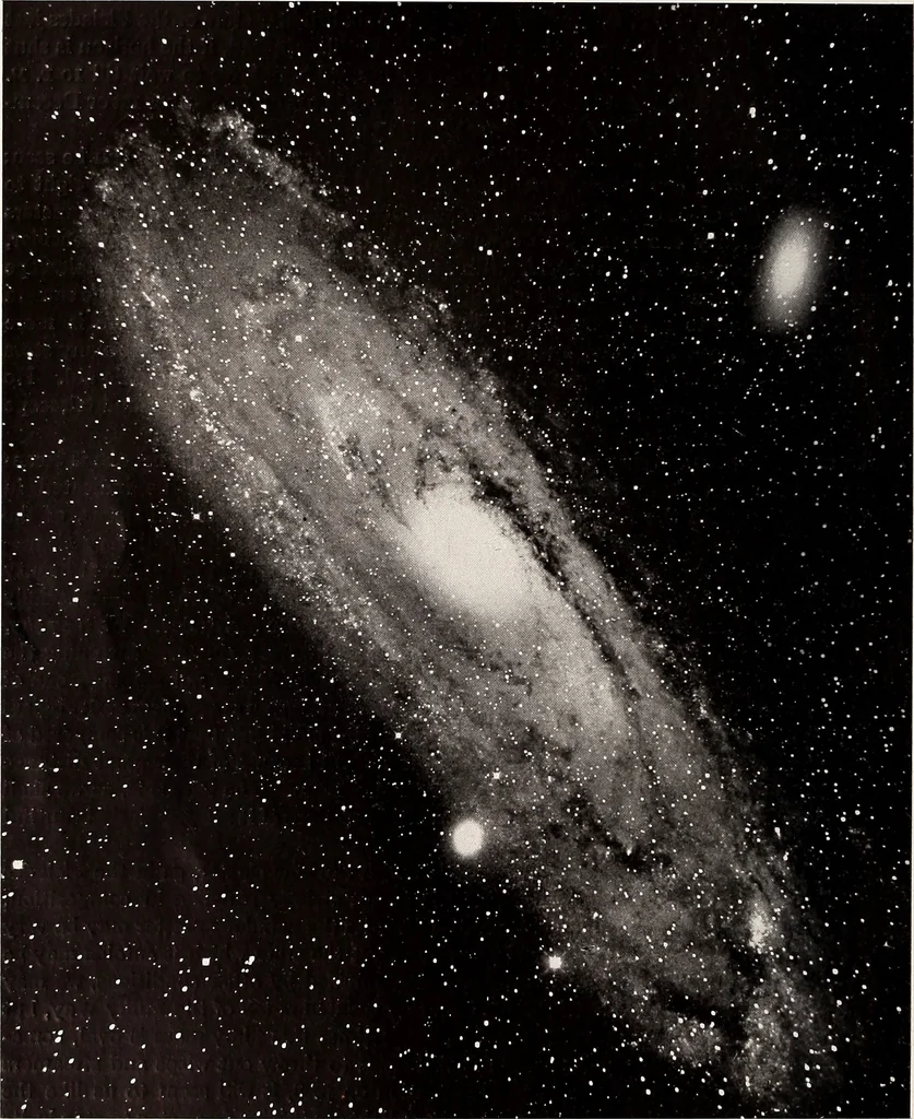An illustration from A beginner's star-book; an easy guide to the stars and to the astronomical uses of the opera-glass, the field-glass and the telescope, 1912, leaf 35