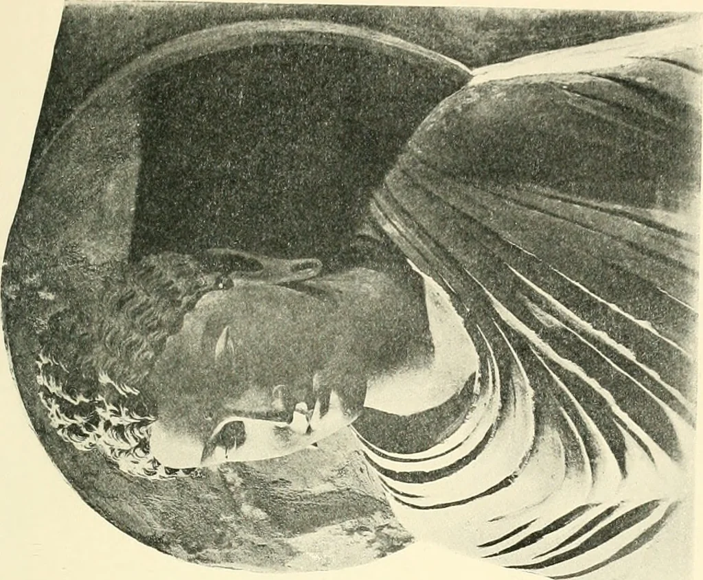An illustration from The beginnings of Buddhist art, and other essays in Indian and Central-Asian archæology, 1917, leaf 200