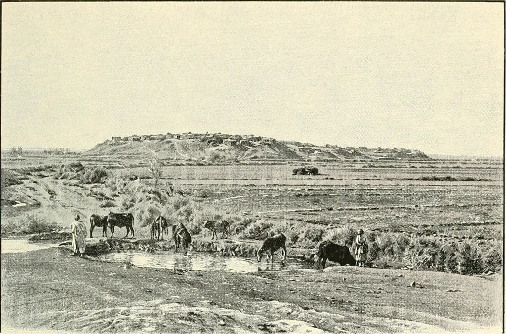 An illustration from The beginnings of Buddhist art, and other essays in Indian and Central-Asian archæology, 1917, leaf 208