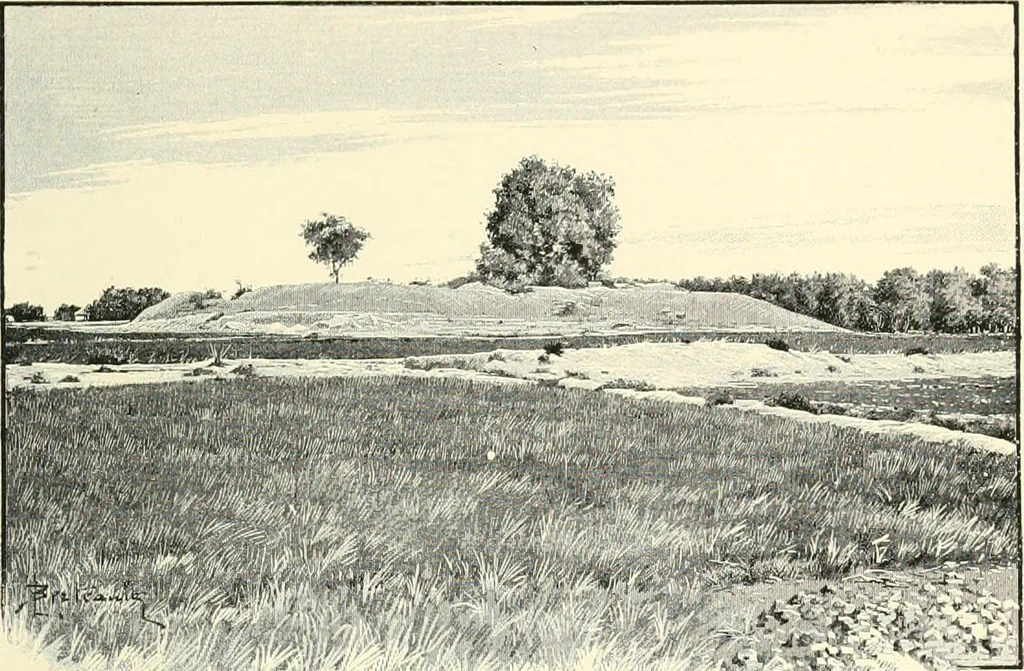 An illustration from The beginnings of Buddhist art, and other essays in Indian and Central-Asian archæology, 1917, leaf 212