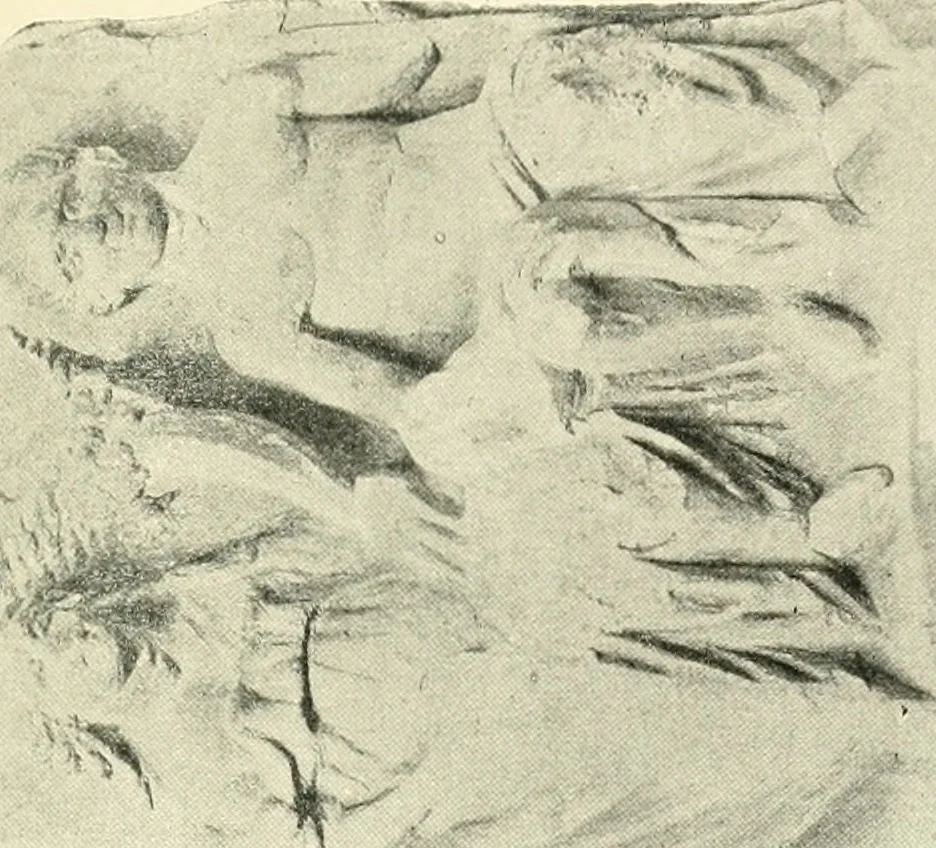 An illustration from The beginnings of Buddhist art, and other essays in Indian and Central-Asian archæology, 1917, leaf 232