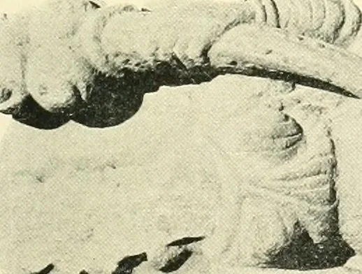 An illustration from The beginnings of Buddhist art, and other essays in Indian and Central-Asian archæology, 1917, leaf 236