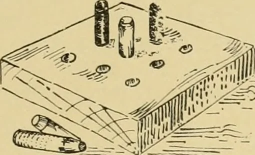 An illustration from Beginning woodwork at home and in school, 1907, leaf 16