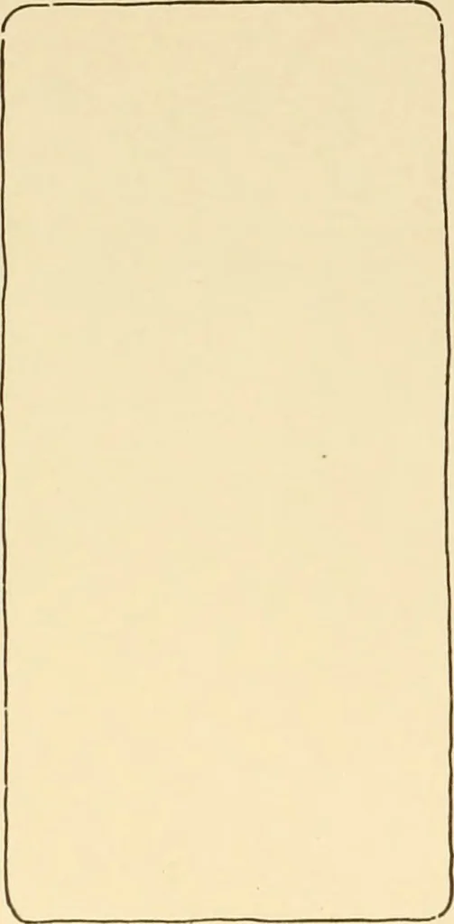 An illustration from Beginning woodwork at home and in school, 1907, leaf 89