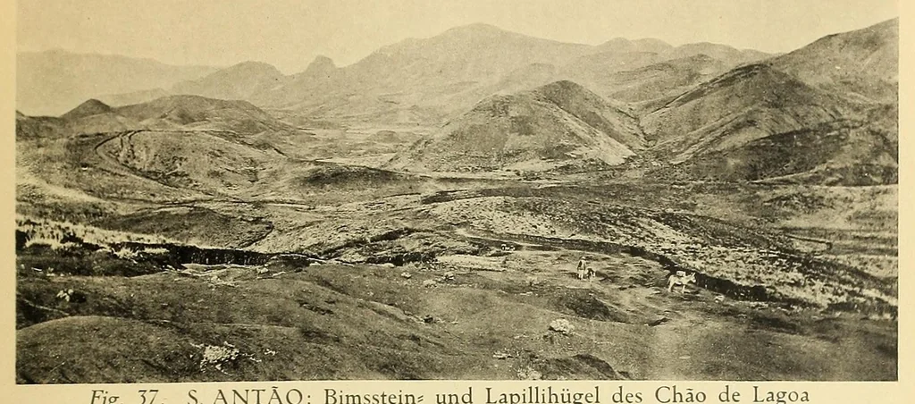An illustration from Beiträge zur kenntnis der Kapverdischen inseln, die ergebnisse einer studienreise im sommer 1912, 1913, leaf 167