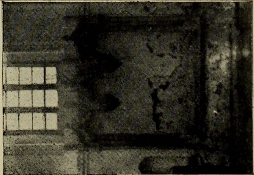 An illustration from Beiträge zur Kunstgeschichte Siebenbürgens, 1914, leaf 394