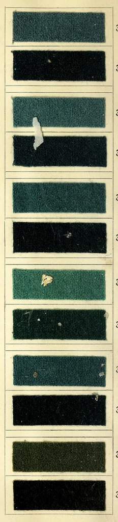 An illustration from Beizen- und Nuancierungsfarbstoffe auf Stückware = Mordant colours on piece goods and suitable shading colours = Colorants pour mordants et à nuancer sur tissu de laine, 1890, leaf 42
