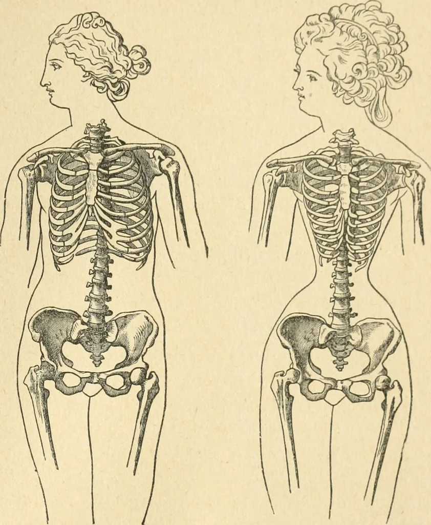 An illustration from Bekleidungskunst und Mode, 1918, leaf 194