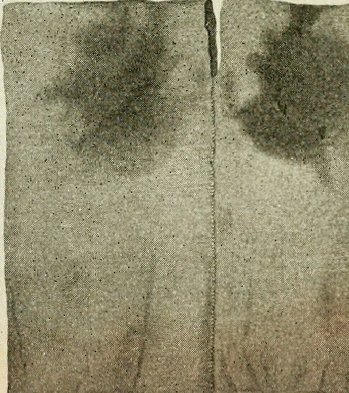 An illustration from Bekleidungskunst und Mode, 1918, leaf 20