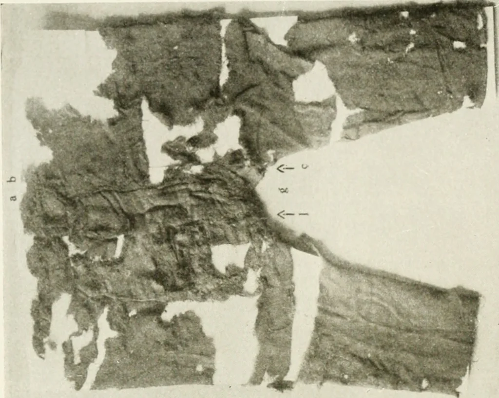 An illustration from Bekleidungskunst und Mode, 1918, leaf 31