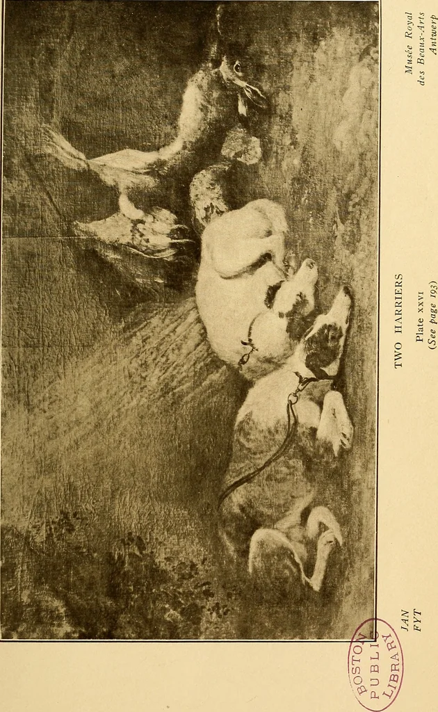 An illustration from The Belgian galleries : being a history of the Flemish school of painting, illuminated and demonstrated by critical descriptions of the great paintings in Bruges, Antwerp, Ghent, Brussels and other Belgian cities, 1912, leaf 260