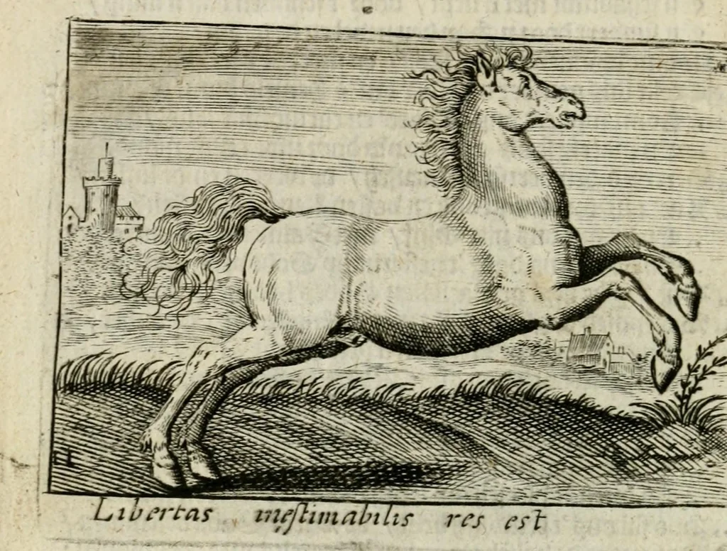 An illustration from Bellerophon, of, Lust tot wysheyt : door sinne-beelden leerlijck vertoont : waer by gevoegt zijn de vrolijcke stemmen, of, stichtige en vermaeckelijcke liedekens en dicten, genomen uyt de geoorolofde vrolickheyd, tot opweckinge der goede zeden : waer by noch konnen gebonden werden, het tweede deel Urania of hemel-sang, als mede het derde deel, Ghesang der Zeden, van den selfden auteur ..., 1695, leaf 34