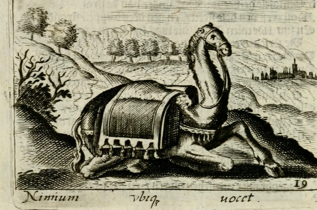 An illustration from Bellerophon, of, Lust tot wysheyt : door sinne-beelden leerlijck vertoont : waer by gevoegt zijn de vrolijcke stemmen, of, stichtige en vermaeckelijcke liedekens en dicten, genomen uyt de geoorolofde vrolickheyd, tot opweckinge der goede zeden : waer by noch konnen gebonden werden, het tweede deel Urania of hemel-sang, als mede het derde deel, Ghesang der Zeden, van den selfden auteur ..., 1695, leaf 50