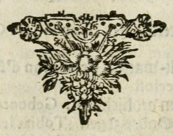 An illustration from Bellerophon, of, Lust tot wysheyt : door sinne-beelden leerlijck vertoont : waer by gevoegt zijn de vrolijcke stemmen, of, stichtige en vermaeckelijcke liedekens en dicten, genomen uyt de geoorolofde vrolickheyd, tot opweckinge der goede zeden : waer by noch konnen gebonden werden, het tweede deel Urania of hemel-sang, als mede het derde deel, Ghesang der Zeden, van den selfden auteur ..., 1695, leaf 514