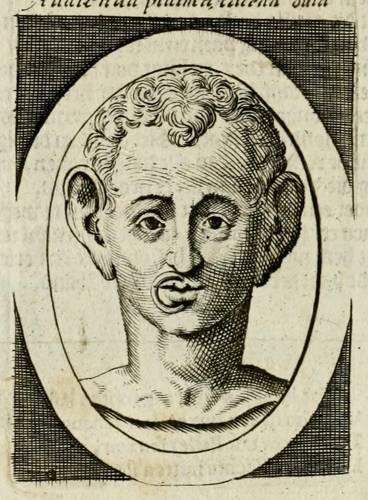 An illustration from Bellerophon, of, Lust tot wysheyt : door sinne-beelden leerlijck vertoont : waer by gevoegt zijn de vrolijcke stemmen, of, stichtige en vermaeckelijcke liedekens en dicten, genomen uyt de geoorolofde vrolickheyd, tot opweckinge der goede zeden : waer by noch konnen gebonden werden, het tweede deel Urania of hemel-sang, als mede het derde deel, Ghesang der Zeden, van den selfden auteur ..., 1695, leaf 52