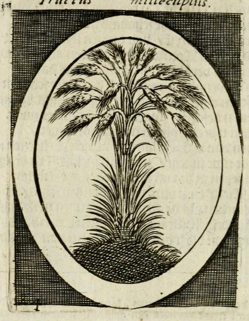 An illustration from Bellerophon, of, Lust tot wysheyt : door sinne-beelden leerlijck vertoont : waer by gevoegt zijn de vrolijcke stemmen, of, stichtige en vermaeckelijcke liedekens en dicten, genomen uyt de geoorolofde vrolickheyd, tot opweckinge der goede zeden : waer by noch konnen gebonden werden, het tweede deel Urania of hemel-sang, als mede het derde deel, Ghesang der Zeden, van den selfden auteur ..., 1695, leaf 58