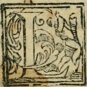 An illustration from Le bellezze della citta di Fiorenza : doue à pieno di pittura, di scultura, di sacri tempij, di palazzi i più notabili artifizij, & più preziosi si contengono, 1591, leaf 24