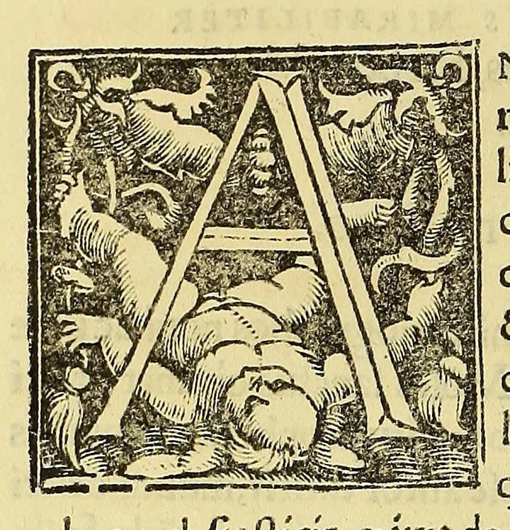 An illustration from Bellum Christianorum principum, praecipue Gallorum, contra Saracenos, anno salutis M.LXXXVIII. pro terra sancta gestum:, 1533, leaf 16
