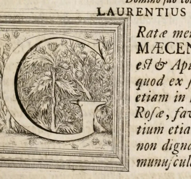 An illustration from Bellum et excidium Trojanum ex antiqvitatum reliqviis, 1699, leaf 11