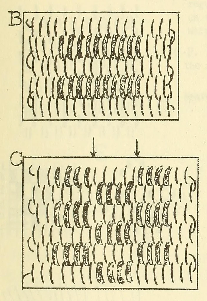 An illustration from Belt folio, 1900, leaf 27