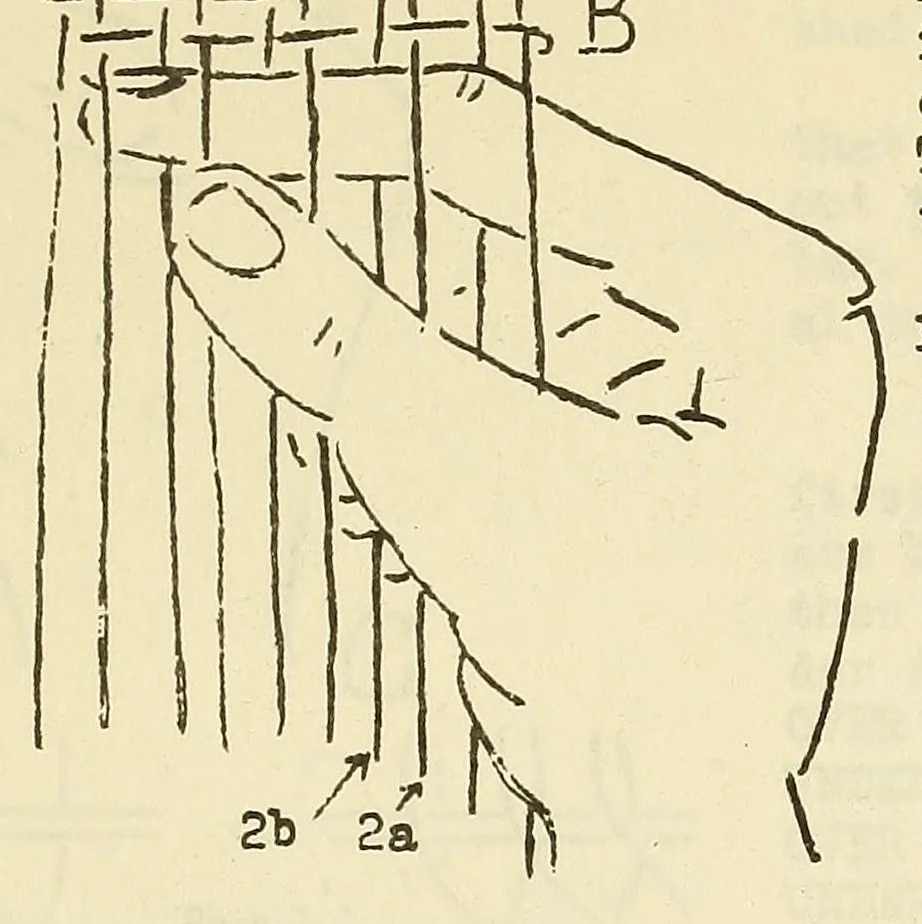 An illustration from Belt folio, 1900, leaf 31