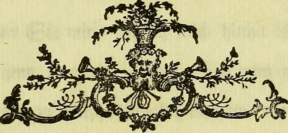 An illustration from Bemerkungen über einen monstreusen Canarien-Vogel : aus dessen Unterkiefer ein lang gewundenes Horn gewachsen ; an den Herrn Grafen von Büffon ... mit einer ausgemahlten Kupfertafel, 1780, leaf 6