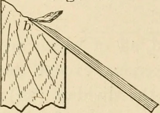 An illustration from Bench work in wood; a course of study and practice designed for the use of schools and colleges, 1905, leaf 101