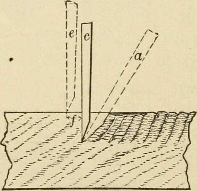 An illustration from Bench work in wood; a course of study and practice designed for the use of schools and colleges, 1905, leaf 101