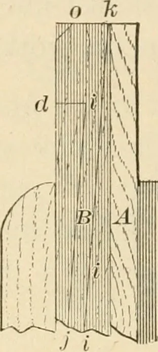An illustration from Bench work in wood; a course of study and practice designed for the use of schools and colleges, 1905, leaf 117