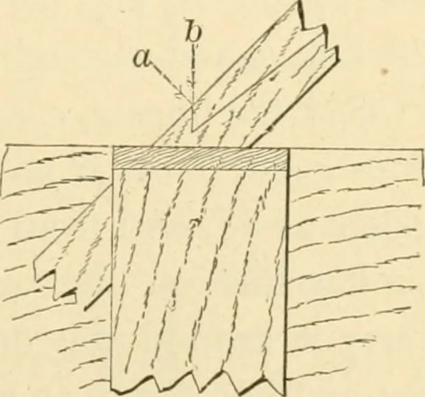 An illustration from Bench work in wood; a course of study and practice designed for the use of schools and colleges, 1905, leaf 122