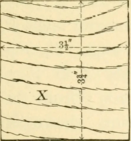 An illustration from Bench work in wood; a course of study and practice designed for the use of schools and colleges, 1905, leaf 134