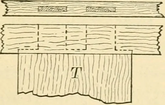 An illustration from Bench work in wood; a course of study and practice designed for the use of schools and colleges, 1905, leaf 166