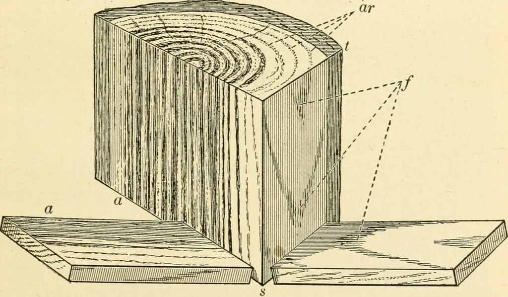 An illustration from Bench work in wood; a course of study and practice designed for the use of schools and colleges, 1905, leaf 178