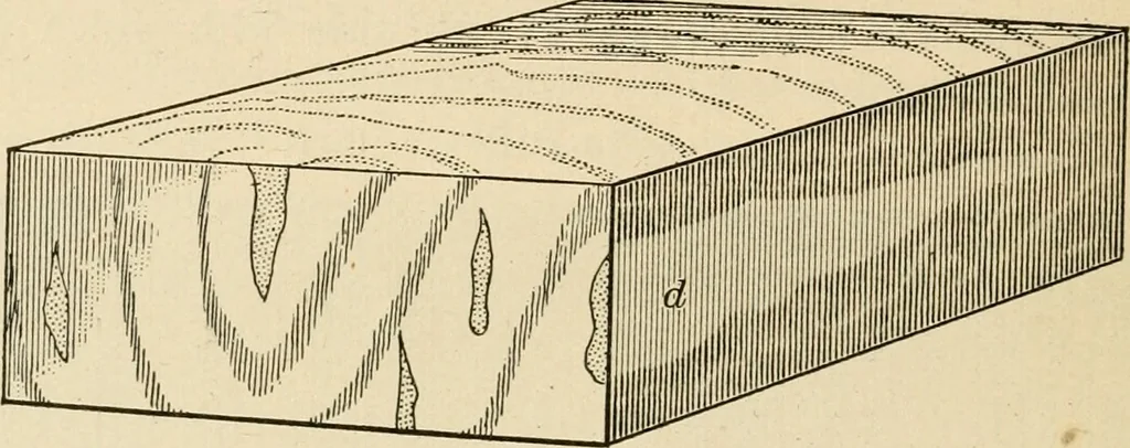 An illustration from Bench work in wood; a course of study and practice designed for the use of schools and colleges, 1905, leaf 181