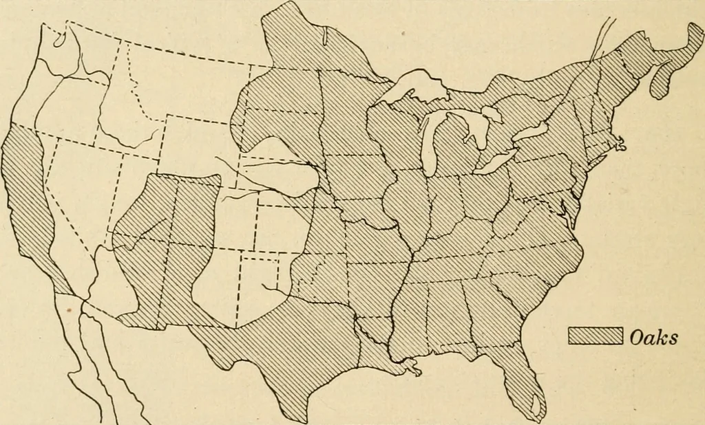An illustration from Bench work in wood; a course of study and practice designed for the use of schools and colleges, 1905, leaf 189