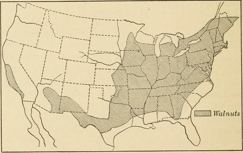 An illustration from Bench work in wood; a course of study and practice designed for the use of schools and colleges, 1905, leaf 191