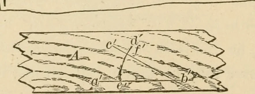 An illustration from Bench work in wood; a course of study and practice designed for the use of schools and colleges, 1905, leaf 37