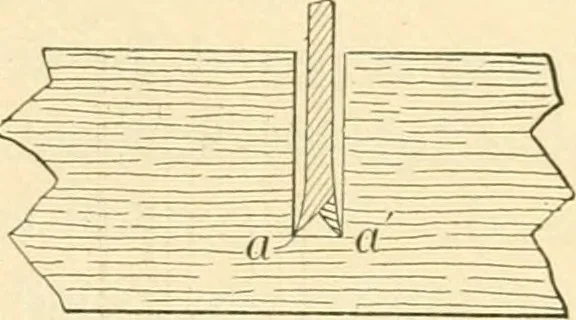 An illustration from Bench work in wood; a course of study and practice designed for the use of schools and colleges, 1905, leaf 52