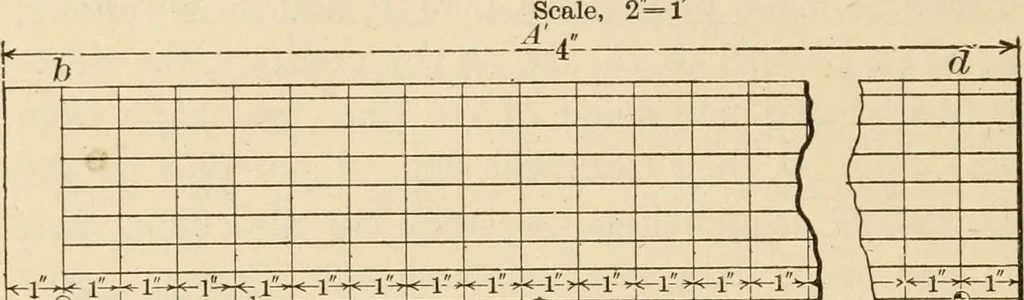 An illustration from Bench work in wood; a course of study and practice designed for the use of schools and colleges, 1905, leaf 93