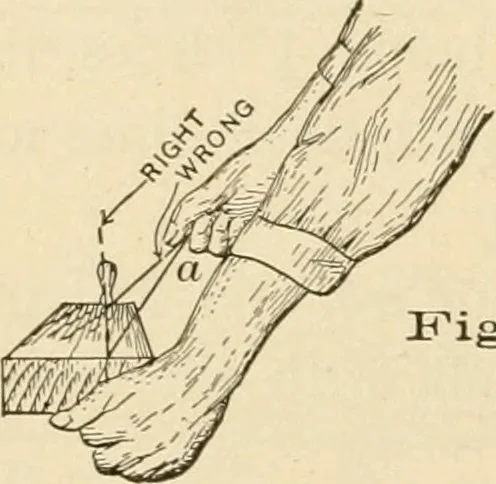 An illustration from Bench work in wood; a course of study and practice designed for the use of schools and colleges, 1905, leaf 95