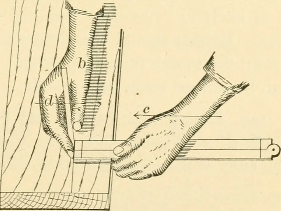 An illustration from Bench work in wood; a course of study and practice designed for the use of schools and colleges, 1905, leaf 96